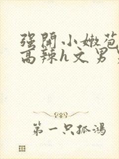 强开小嫩苞h文高辣h文男男