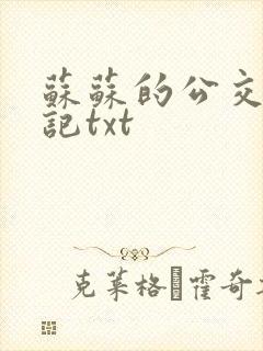 苏苏的公交车日记txt封面