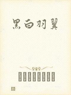 黑白羽翼封面