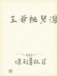 王爷桃儿泻了封面