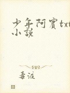 少年阿宾txt小说