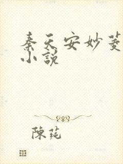秦天安妙菱修仙小说封面