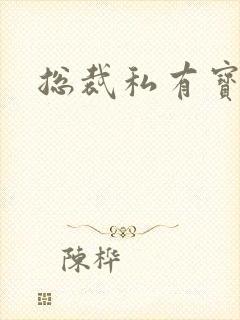 总裁私有宝贝