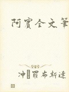 阿宾全文笔趣阁