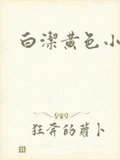 白洁黄色小说