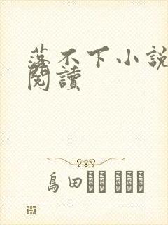 落不下小说免费阅读