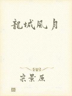 龙城风月封面