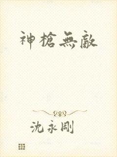 神枪无敌封面