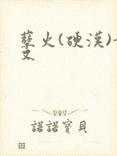 孽火(硬汉)今又