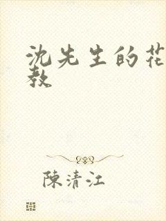 沈先生的花式调教