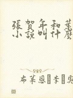 张贺年和叶繁姿小说叫什么名字