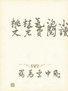 桃枝气泡小说全文免费阅读封面