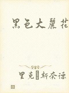 黑色大丽花图片
