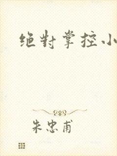 绝对掌控小说
