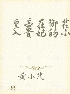 皇帝在御花园进入贵妃的小说封面