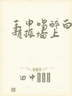 王申喝醉白洁被赵振墙上