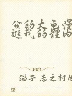 公的大龟慢慢挺进我的体内