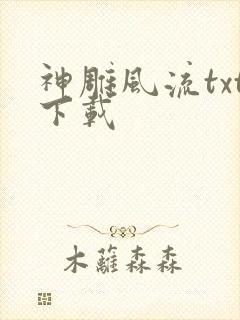 神雕风流txt下载