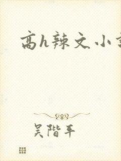 高h辣文小说