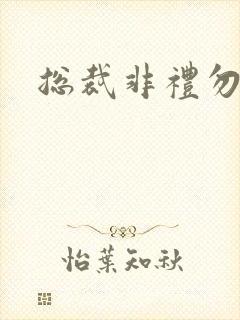 总裁非礼勿碰封面