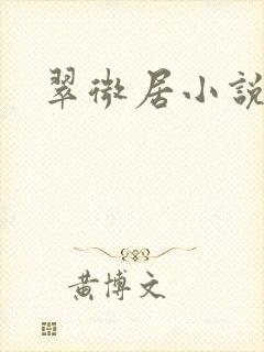 翠微居小说
