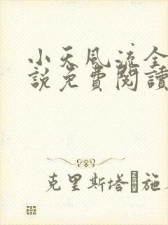 小天风流全集小说免费阅读封面