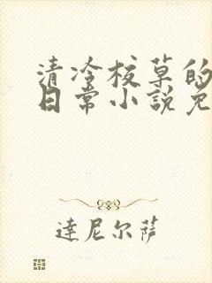 清冷校草的堕落日常小说免费阅读