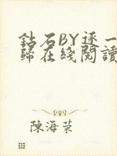 钻石BY逐一而归在线阅读