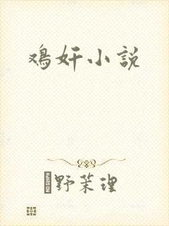 鸡奸小说