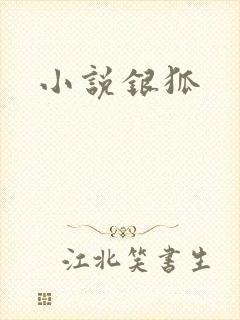 小说银狐