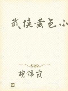 武侠黄色小说封面