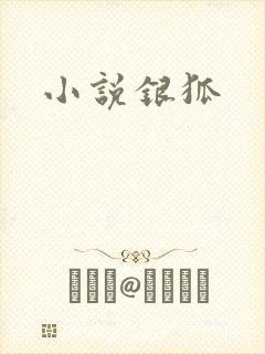 小说银狐