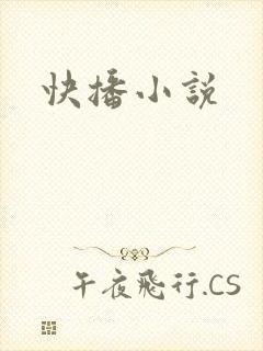 快播小说
