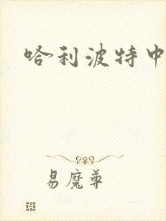 哈利波特中文版