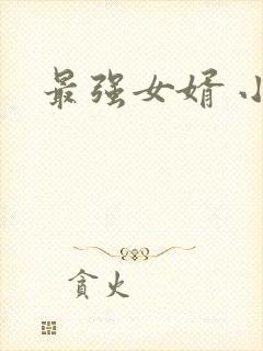 最强女婿 小说