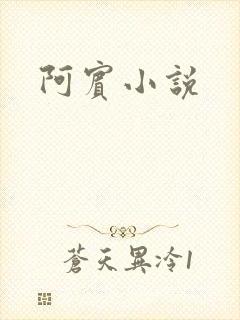 阿宾小说