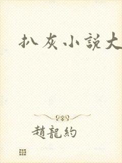 扒灰小说大全封面