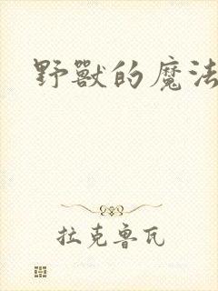野兽的魔法师