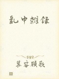 乱中杂录
