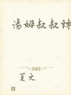 汤姆叔叔转接口