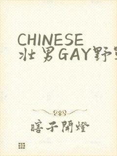 CHINESE壮男GAY野战强迫TUBE