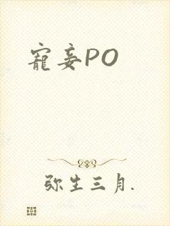 宠妾PO封面