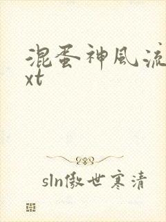 混蛋神风流史txt