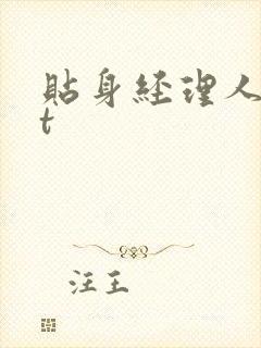 贴身经理人txt