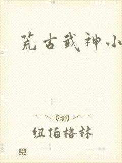荒古武神小说