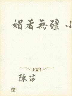 媚者无疆 小说