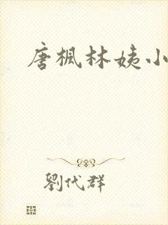 唐枫林姨小说