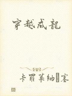 穿越成龙