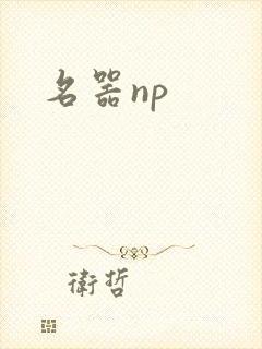 名器np