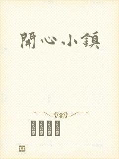 开心小镇封面